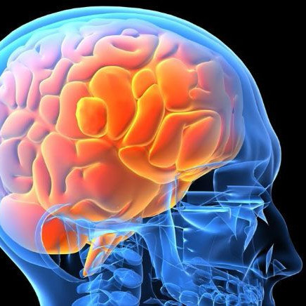 Diario Frontera, Frontera Digital,  Salud, ,El cerebro recuerda más los insultos que los elogios, según la ciencia