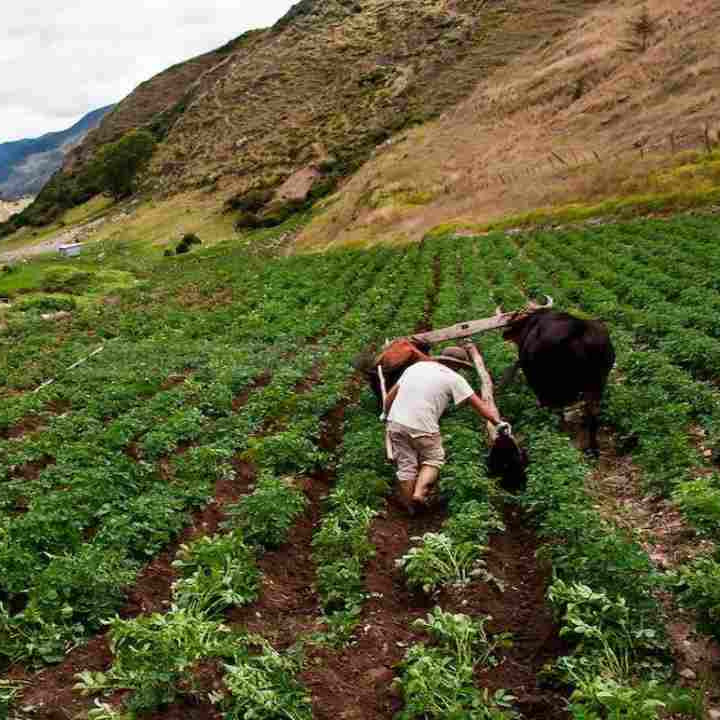 Diario Frontera, Frontera Digital,  Regionales, ,Agricultores en Mérida denuncian contrabando de mercancía desde Colombia