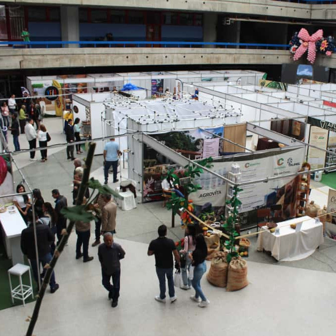 Diario Frontera, Frontera Digital,  Regionales, ,Exitosa jornada inaugural del Congreso Nacional e Internacional del Cacao en la ULA