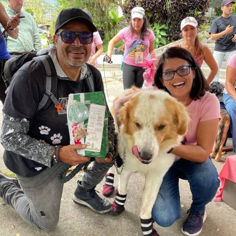 Diario Frontera, Frontera Digital,  Regionales, ,Alcalde Nelson Álvarez lideró emotiva caminata canina por la prevención del cáncer de mama
