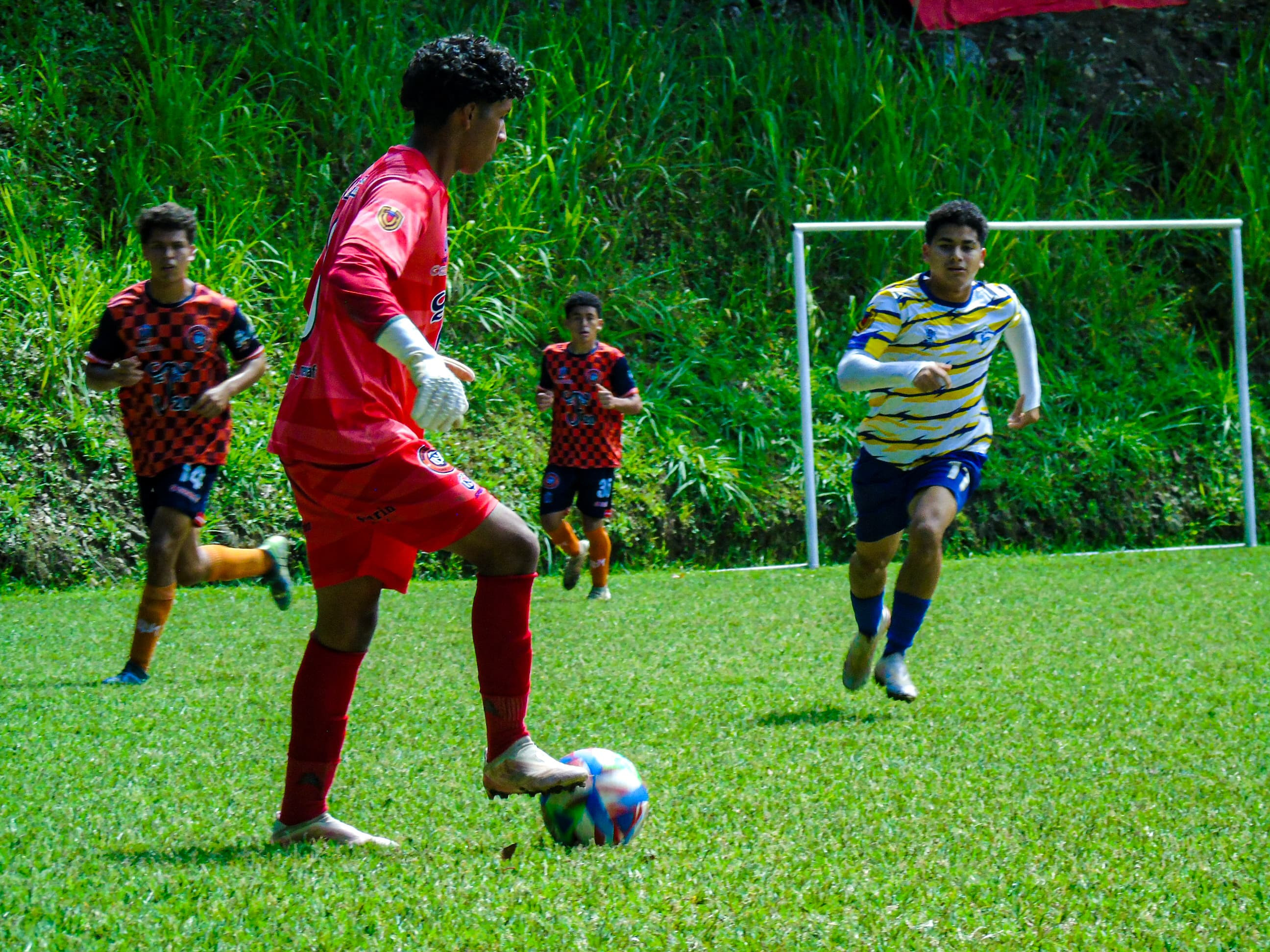 Diario Frontera, Frontera Digital,  Deportes, Regionales, ,Liga Élite Juvenil LATINBIEN en Mérida finalizó su ronda regular de competencia