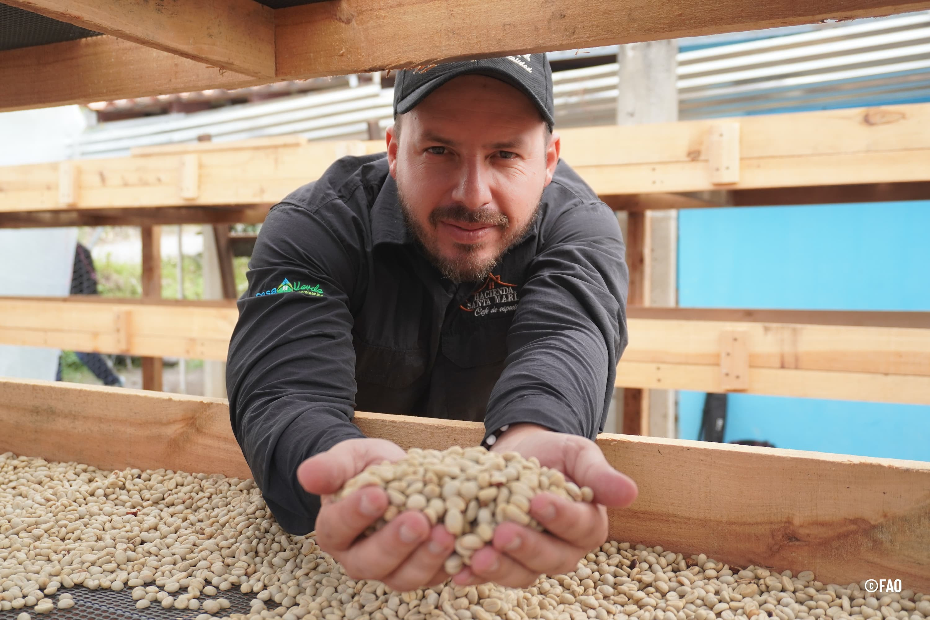 Diario Frontera, Frontera Digital,  Regionales, ,El café de los Andes venezolanos brillará en Encuentro Internacional de Cafés de Especialidad