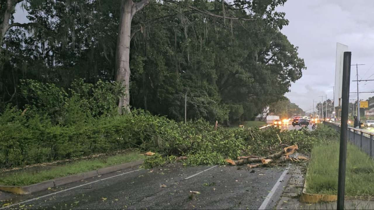Diario Frontera, Frontera Digital,  El Vigía Panamericana, ,Continúan trabajos de prevención vial en Mérida ante temporada de lluvias