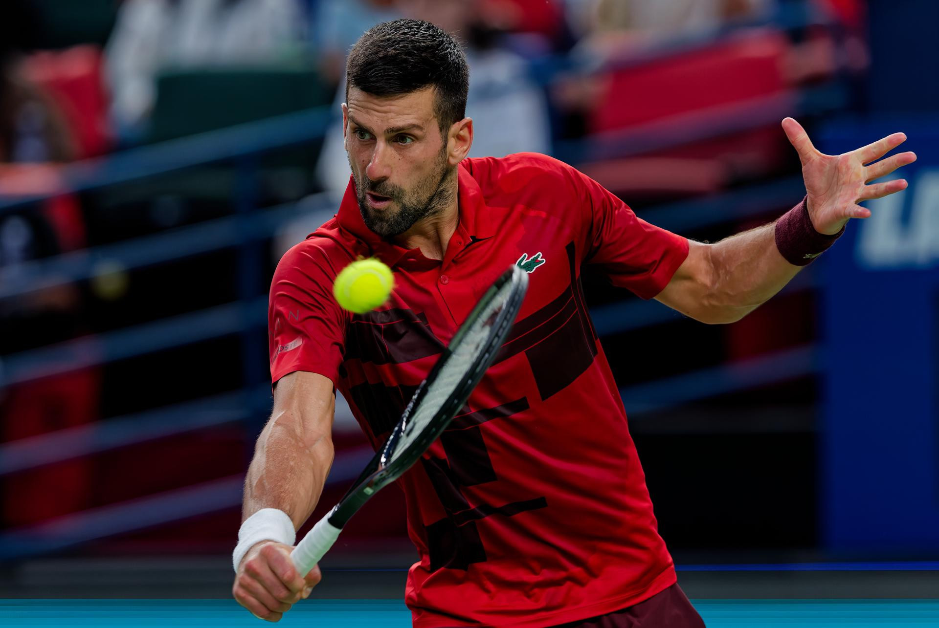 Diario Frontera, Frontera Digital,  Deportes, ,Djokovic renunció a estar en las finales de la ATP por lesión en su hombro