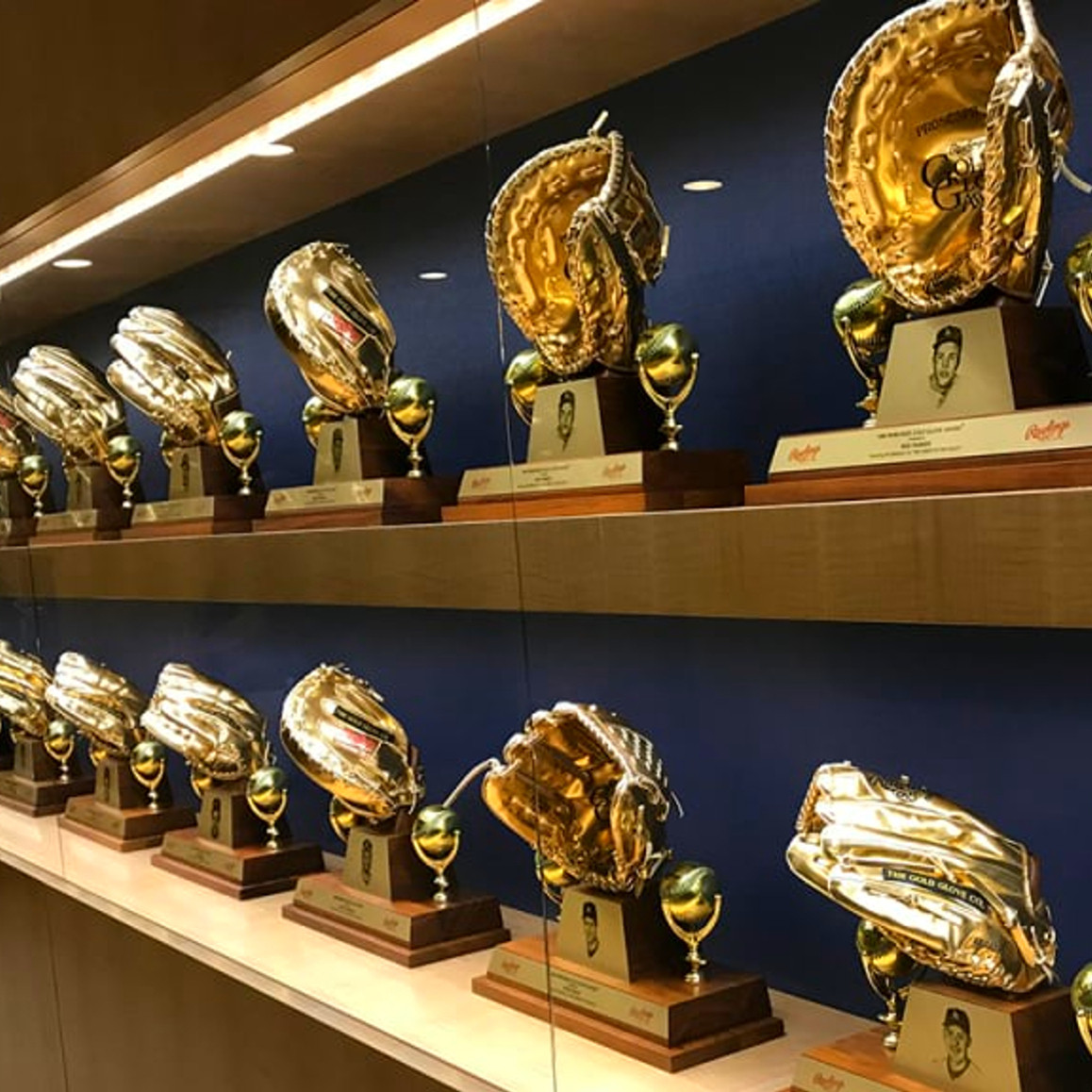 Diario Frontera, Frontera Digital,  Deportes, ,Tres venezolanos ganaron el Guante de Oro en la temporada 2025 de la MLB