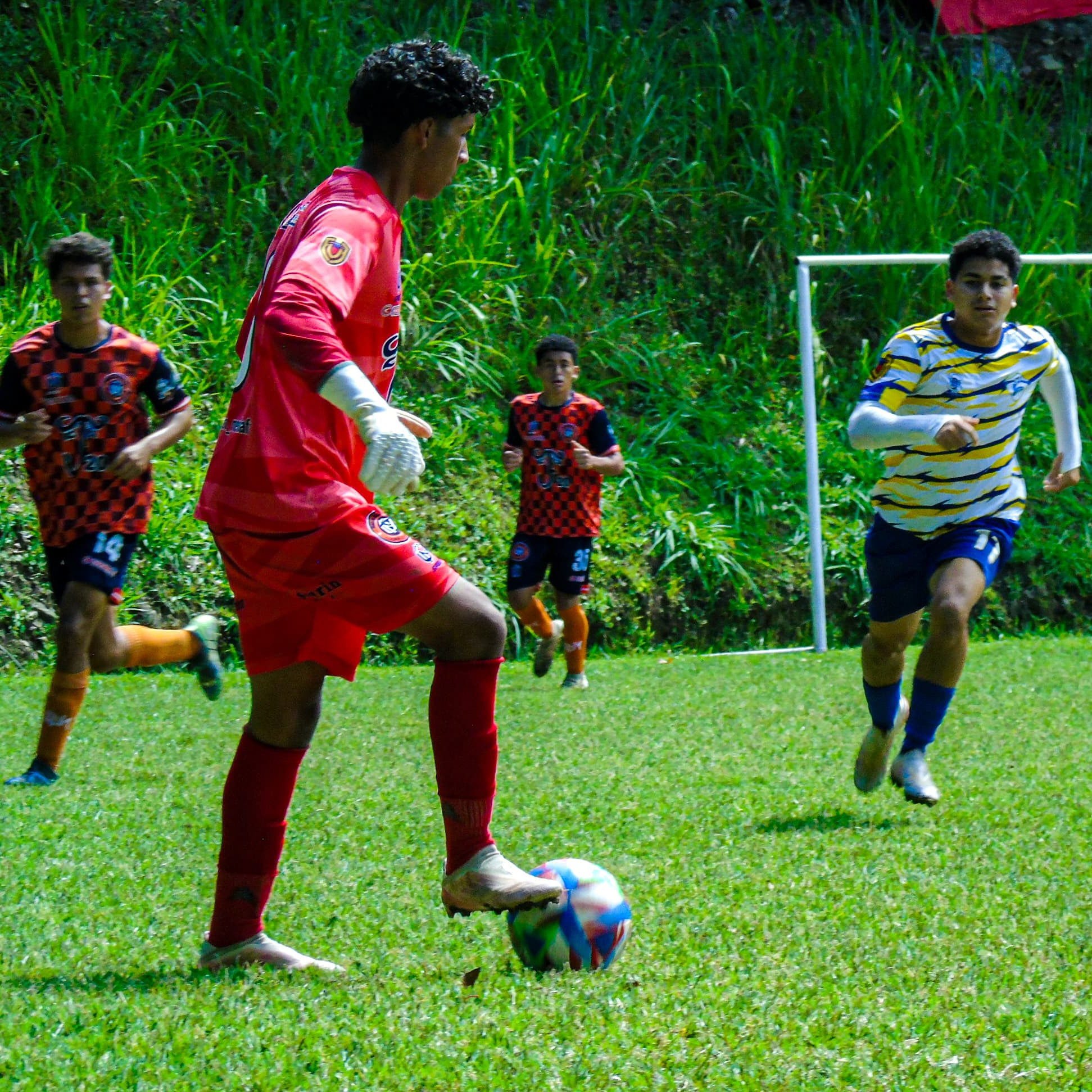 Diario Frontera, Frontera Digital,  Deportes, Regionales, ,Liga Élite Juvenil LATINBIEN en Mérida finalizó su ronda regular de competencia