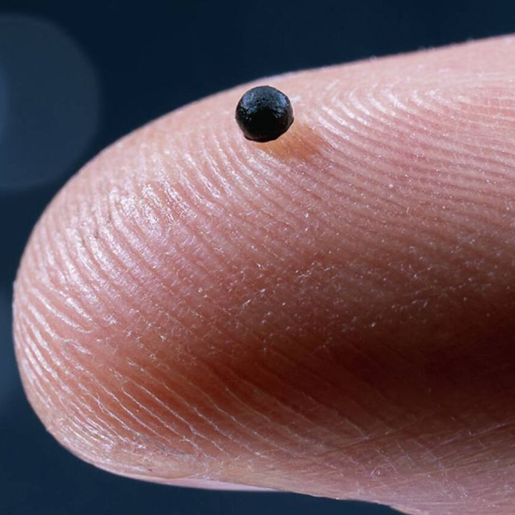 Diario Frontera, Frontera Digital,  Tecnología, ,Suiza crea un micro-robot que navega por la sangre para tratar los ictus