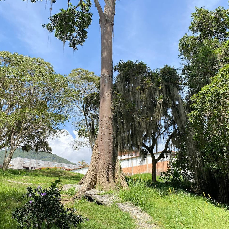 Diario Frontera, Frontera Digital,  Regionales, ,El Parque Albarregas: Un Oasis Verde que Atraviesa Mérida en diez tramos