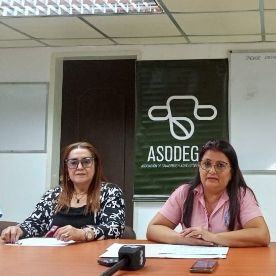 Diario Frontera, Frontera Digital,  El Vigía Panamericana, ,Exitoso el Festival Rosa y IV Caminata 5K en El Vigía