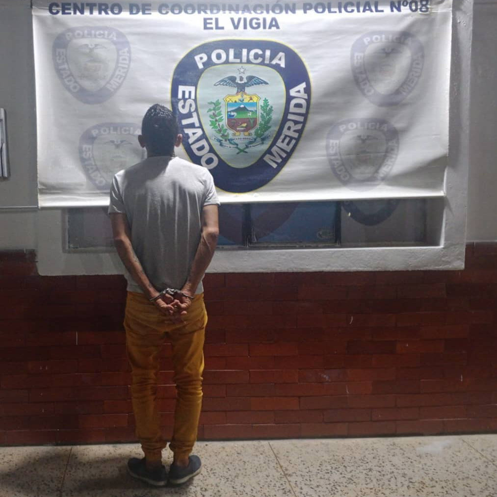 Diario Frontera, Frontera Digital,  Sucesos, ,Policía capturó a ciudadano por trato cruel contra un niño en El Vigía