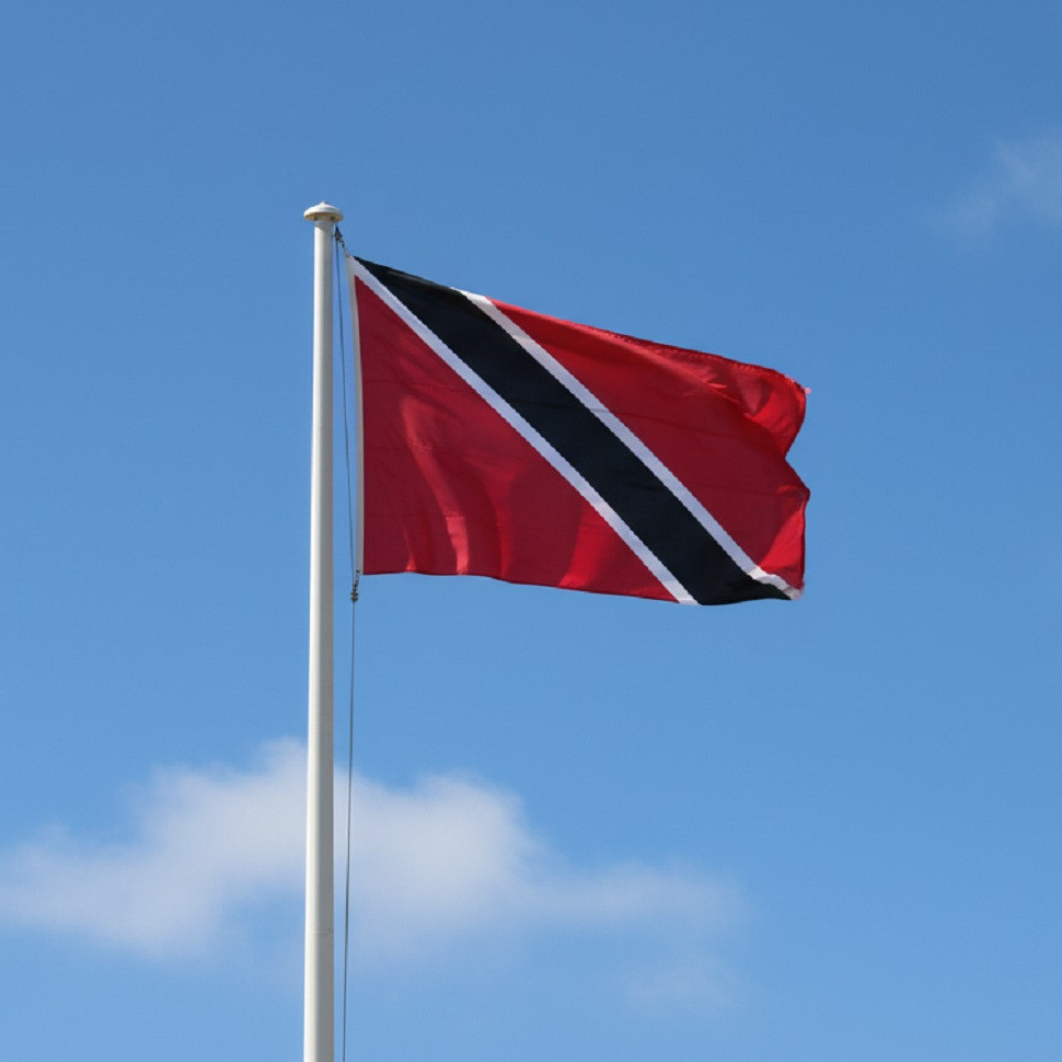 Diario Frontera, Frontera Digital,  Internacionales, ,Trinidad y Tobago redujo drásticamente los permisos de trabajo a venezolanos de 4.275 a 757