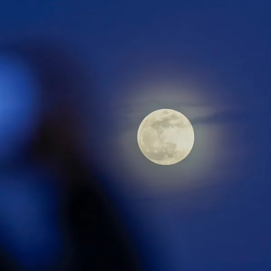 Diario Frontera, Frontera Digital,  Nacionales, ,Superluna de noviembre: cuándo y cómo verla desde Venezuela