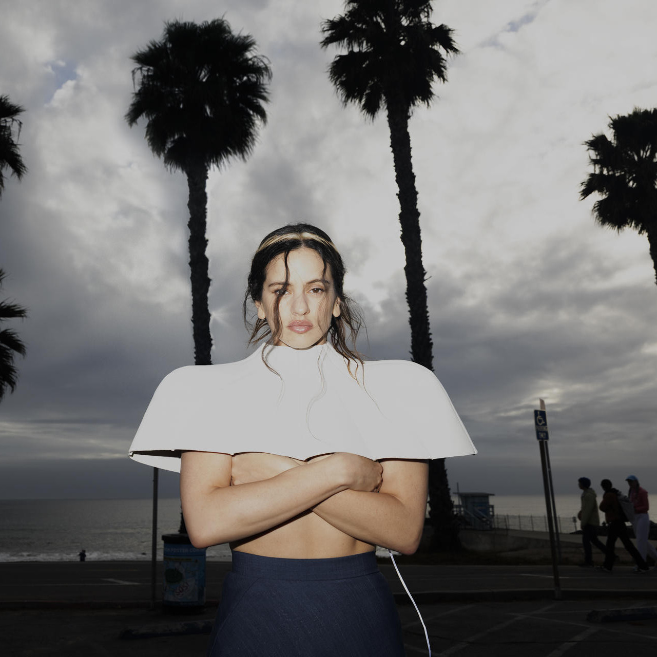 Diario Frontera, Frontera Digital,  Farándula, ,Rosalía logró que 12 de los 15 temas de su nuevo disco «Lux» se posicionaran en el Top50 de Spotify