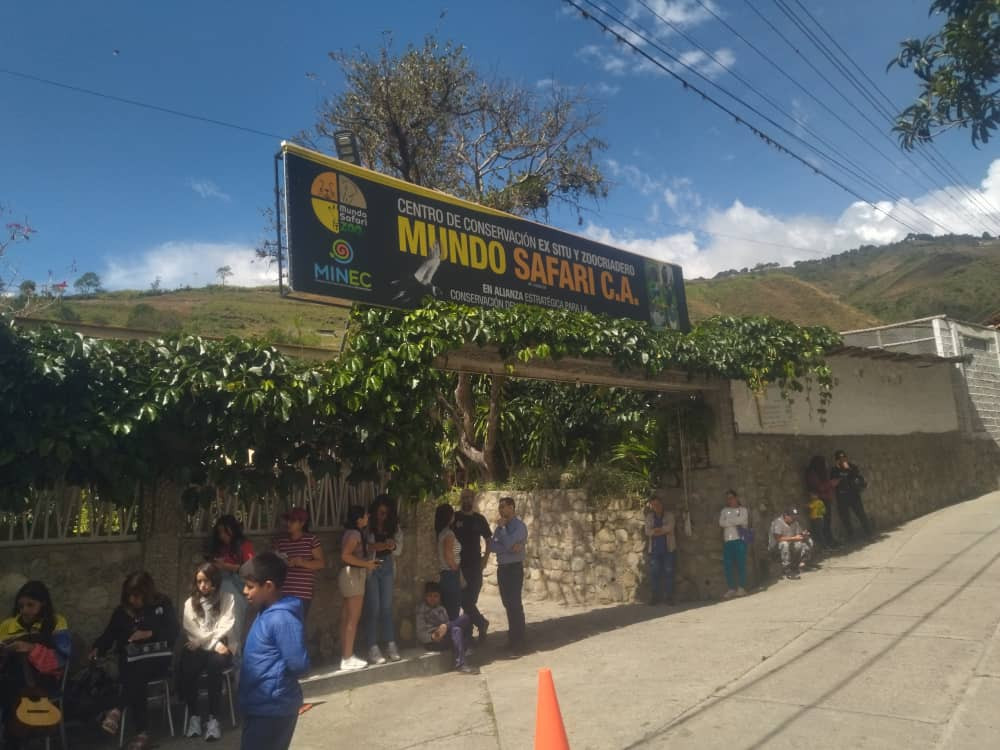 Diario Frontera, Frontera Digital,  Regionales, ,Mundo Safari celebra su primer aniversario con éxitos en la conservación del cóndor andino