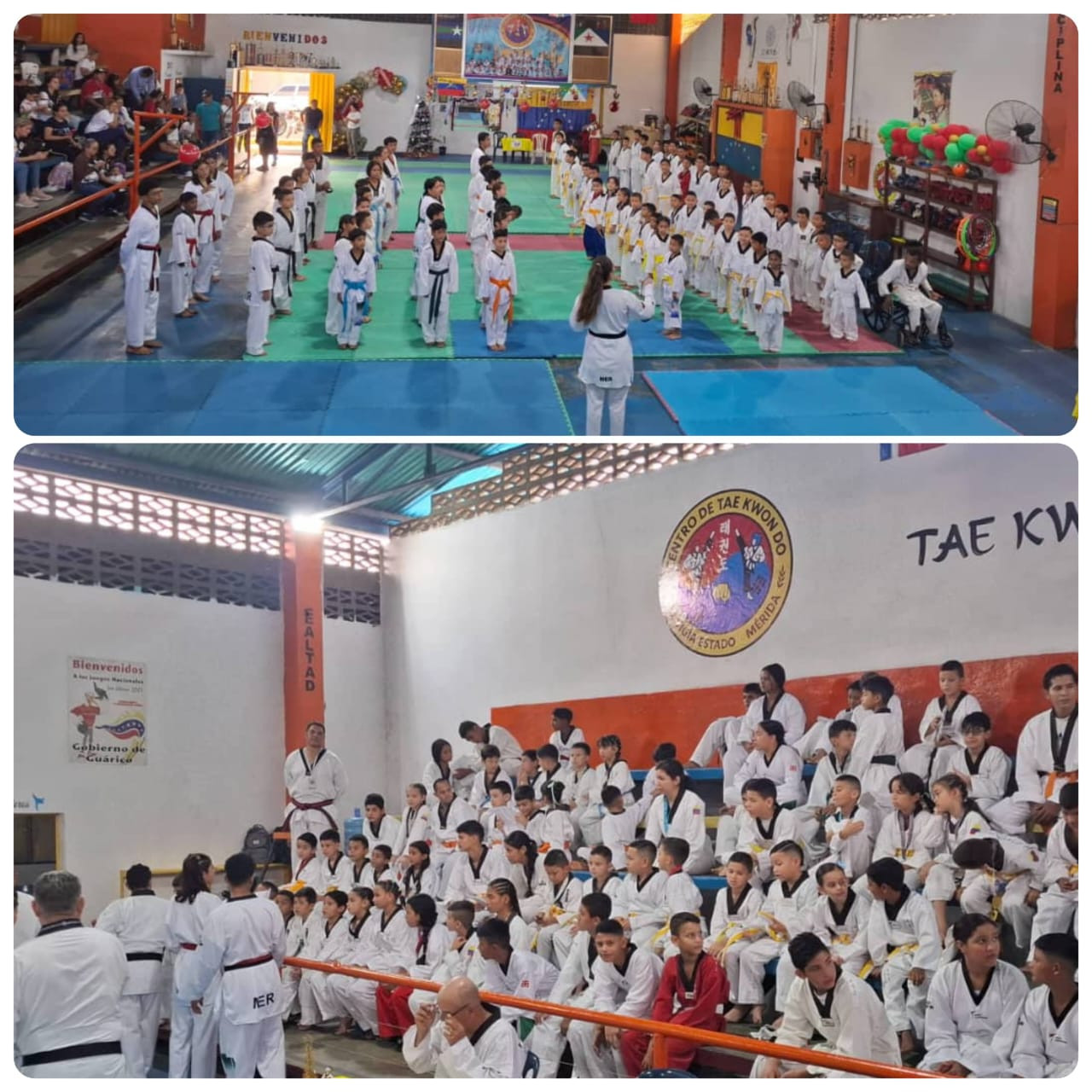Diario Frontera, Frontera Digital,  Deportes, ,La disciplina del Taekwondo realizó el segundo ascenso de grado colores en El Vigía
