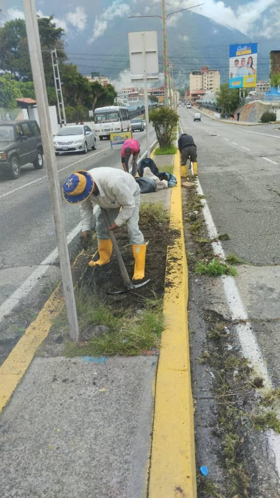 Diario Frontera, Frontera Digital,  Regionales, ,José Gregorio Ruz, director de Mantenimiento y Servicios, informó que se desplegó un operativo de recuperación y ornato en las islas del viaducto Campo Elías, como parte del plan integral de embellecimiento que impulsa la gestión municipal.,Alcalde Nelson Álvarez sostiene labores de ornato y limpieza en la ciudad