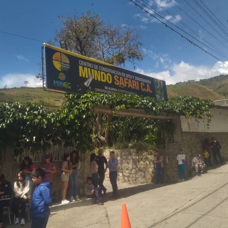Diario Frontera, Frontera Digital,  Regionales, ,Mundo Safari celebra su primer aniversario con éxitos en la conservación del cóndor andino