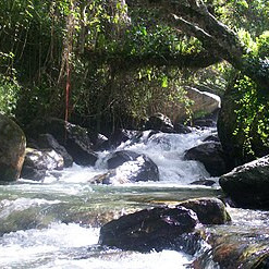 Diario Frontera, Frontera Digital,  Sucesos, ,Localizan sin vida a hombre arrastrado por el río Chama en Mérida