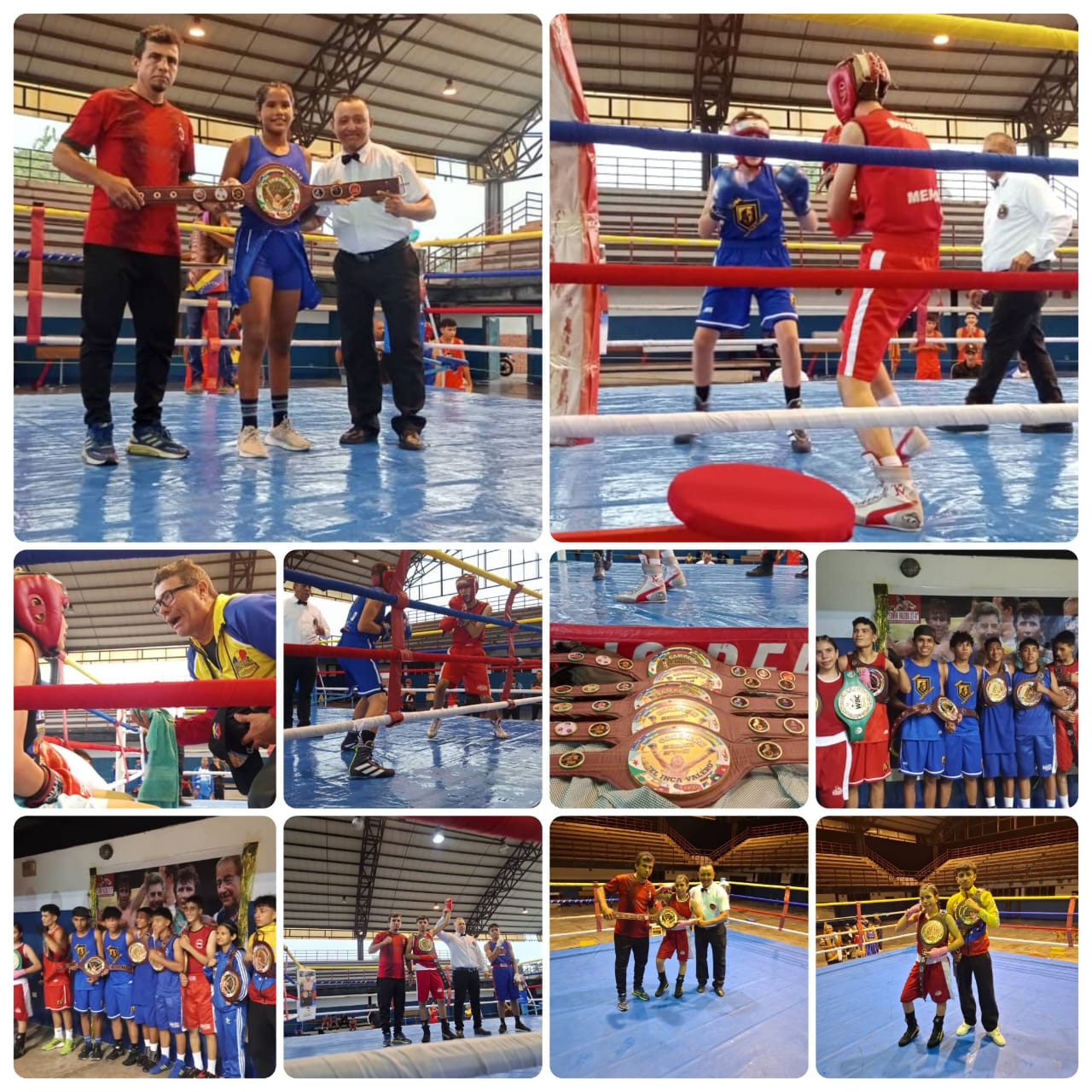 Diario Frontera, Frontera Digital,  Deportes, ,Mérida ganó el Primer Torneo Nacional Cinturón Edwin Valero