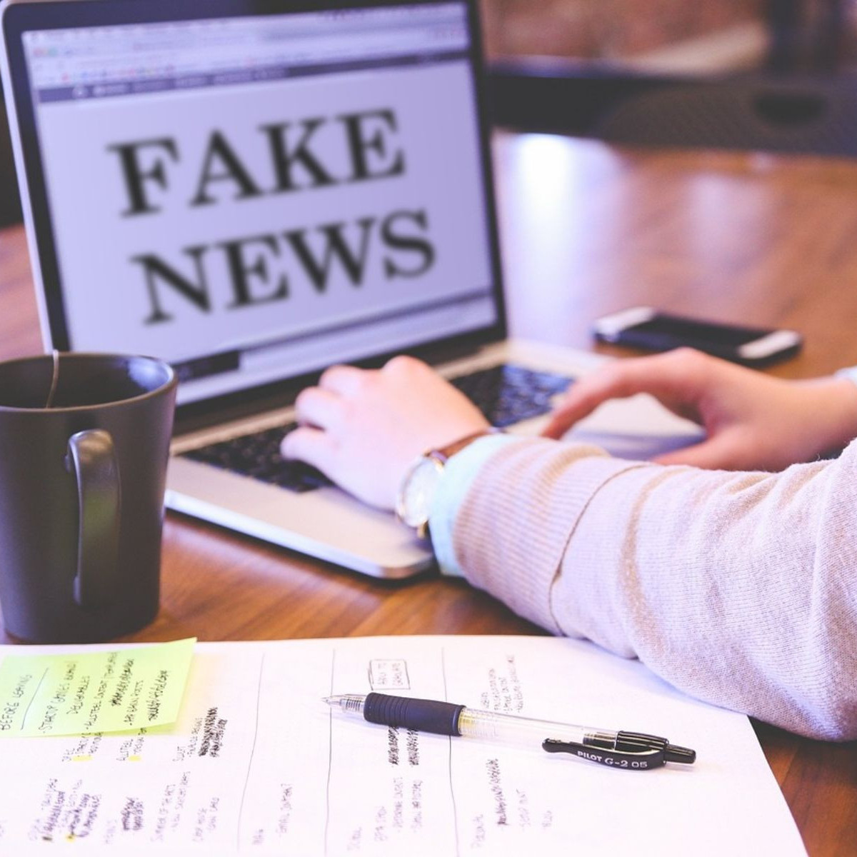 Diario Frontera, Frontera Digital,  Curiosidades, ,¿Cuáles fueron las noticias falsas que más circularon en 2025?