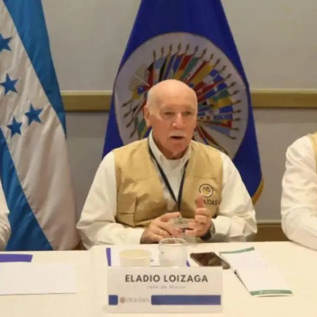Diario Frontera, Frontera Digital,  Internacionales, ,24 horas sin avances en el conteo: OEA insta a Honduras a "agilizar escrutinios"