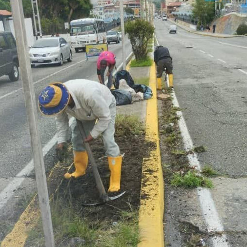 Diario Frontera, Frontera Digital,  Regionales, ,Alcalde Nelson Álvarez sostiene labores de ornato y limpieza en la ciudad
