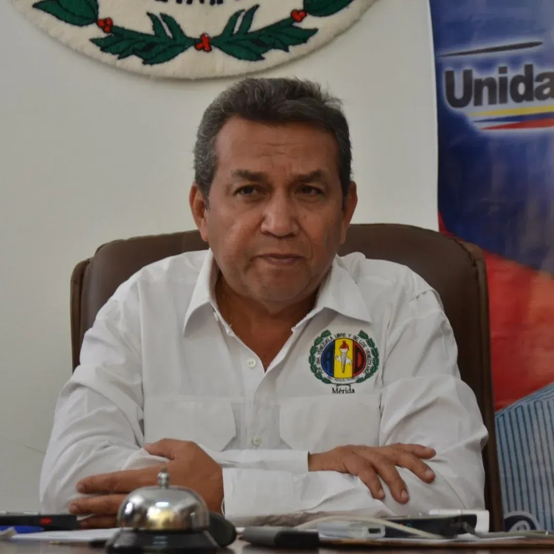 Diario Frontera, Frontera Digital,  Politica, ,AD en Resistencia espera instrucciones para su participación en elecciones del 27A