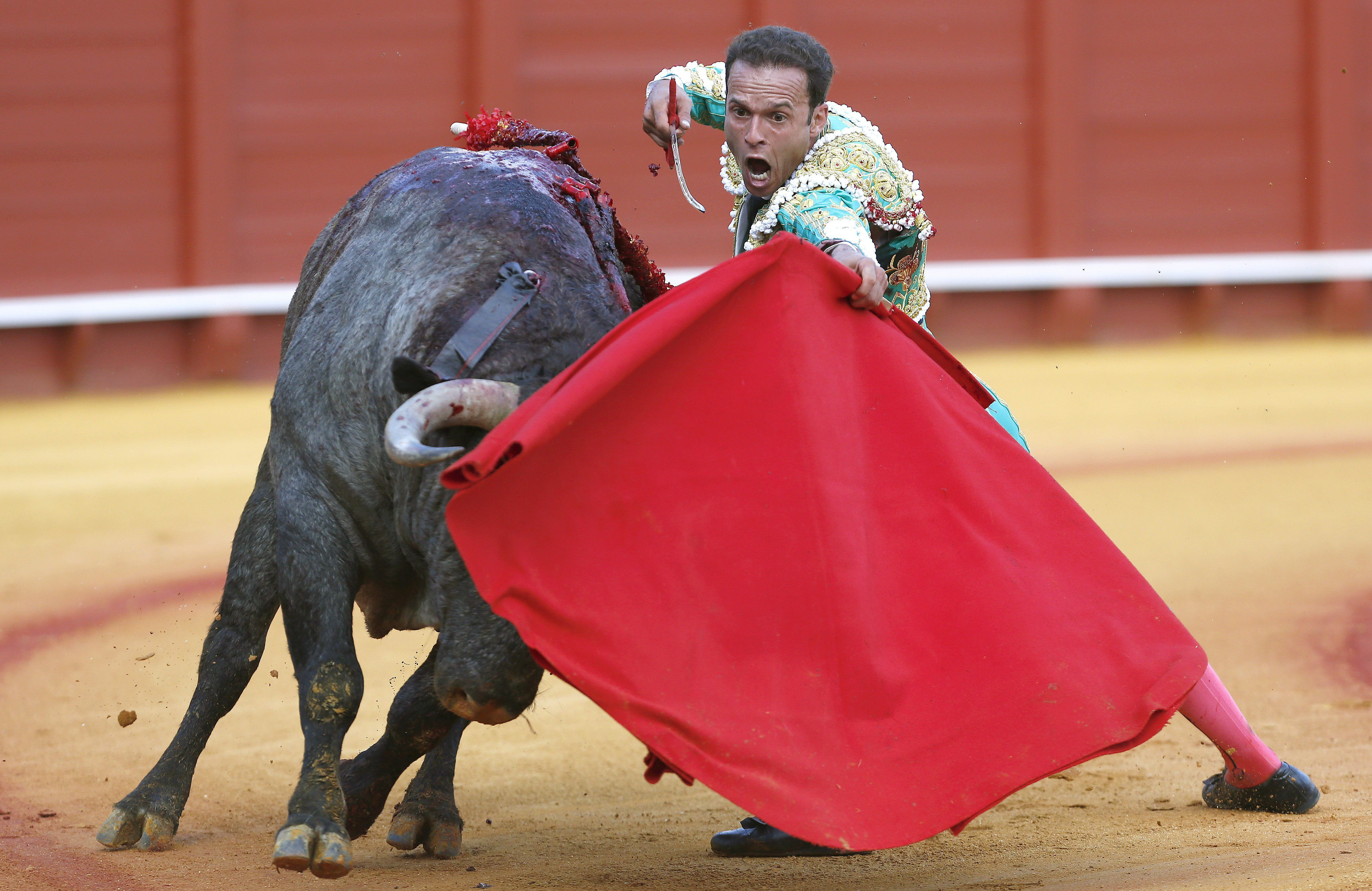 Diario Frontera, Frontera Digital,  Entretenimiento, ,Ferrera y Castella triunfan por ruedos españoles