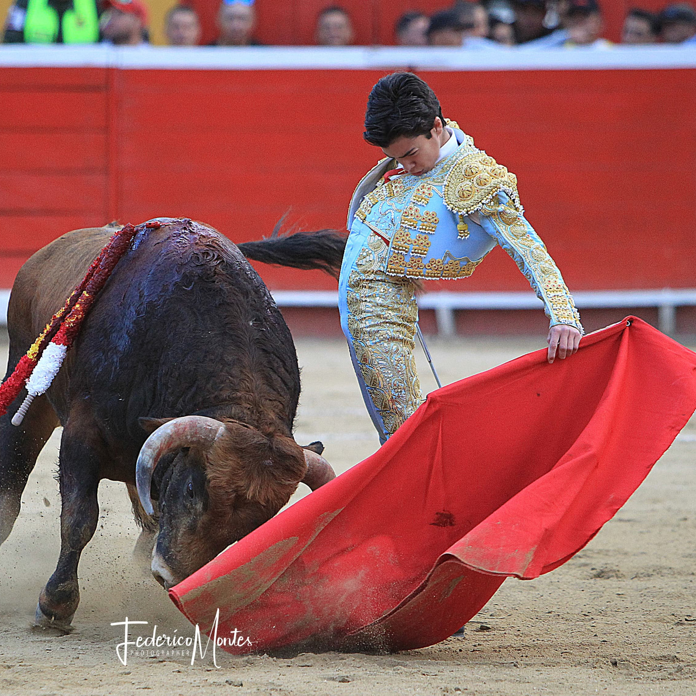 Diario Frontera, Frontera Digital,  Entretenimiento, ,Marco Pérez tomará la alternativa en junio «con un cartel espectacular» en Nimes