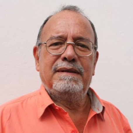 Diario Frontera, Frontera Digital,  Opinión, ,Fuera la estupidez de la política por Luis Fuenmayor Toro