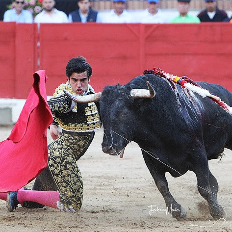 Diario Frontera, Frontera Digital,  Entretenimiento, ,FERIA DE SAN SEBASTIÁN – SEGUNDA DE ABONO │ Puerta Grande a De Justo y “Colombo” ante dispar encierro de Campolargo