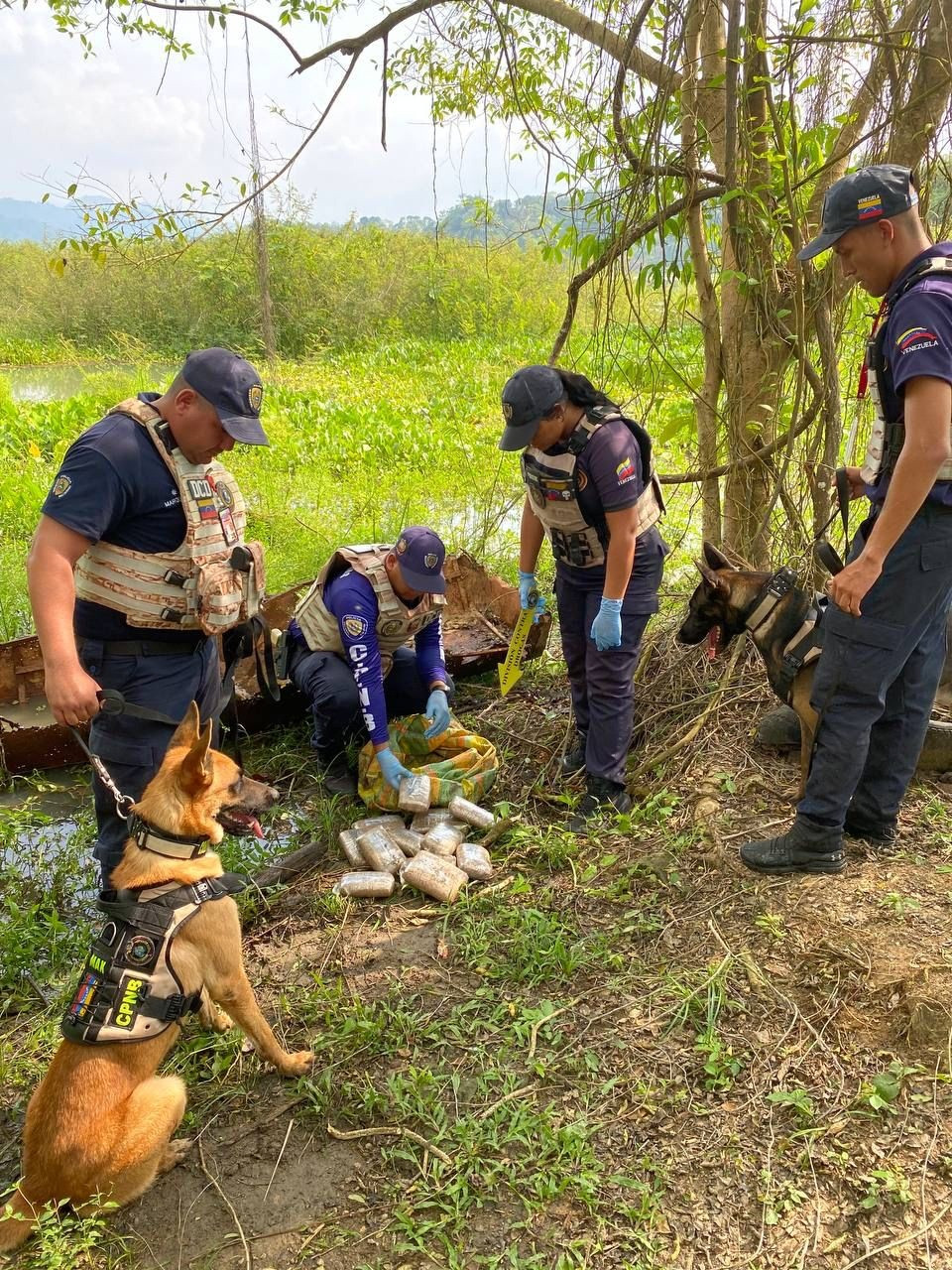 Diario Frontera, Frontera Digital,  Sucesos, ,CPNB halló más de 8 kilos de droga presuntamente marihuana en El Vigía