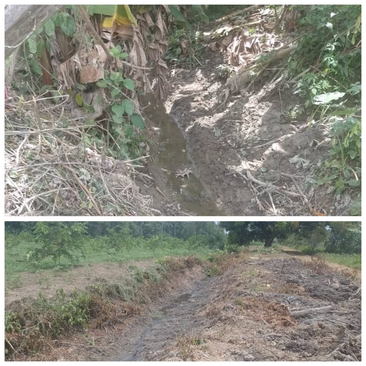 Diario Frontera, Frontera Digital,  El Vigía Panamericana, ,Habitantes exigen limpieza de drenajes de aguas fluviales en Los Naranjos de El Vigía