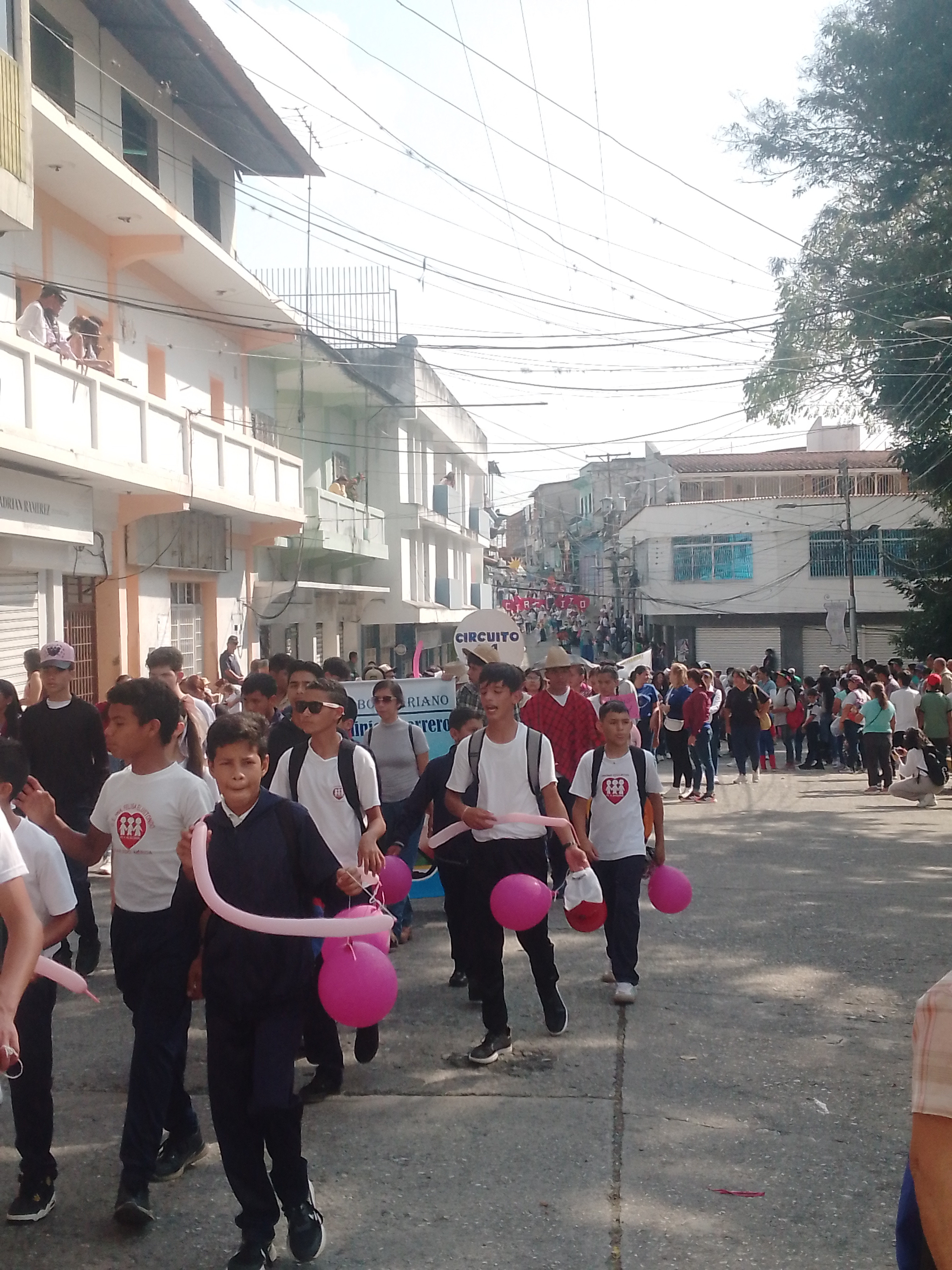 Diario Frontera, Frontera Digital,  Mocoties, ,Desfile de Carnaval Tovar 2025