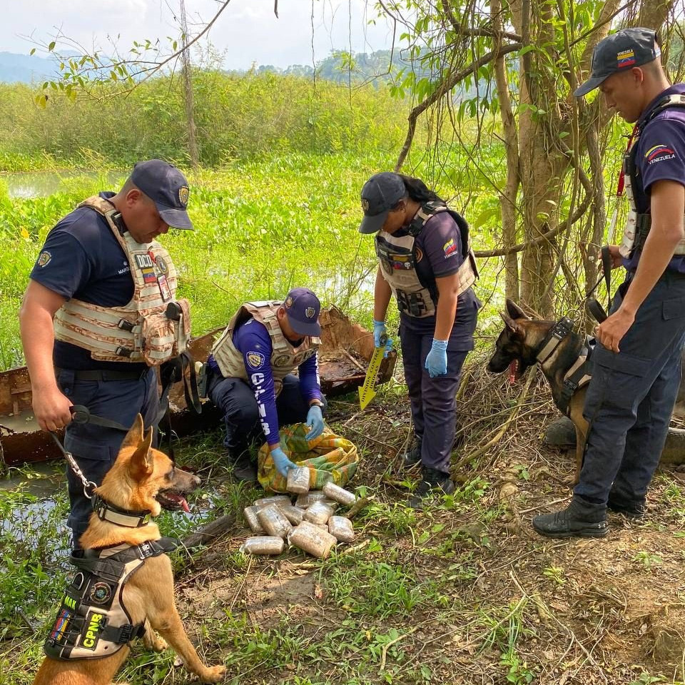 Diario Frontera, Frontera Digital,  Sucesos, ,CPNB halló más de 8 kilos de droga presuntamente marihuana en El Vigía