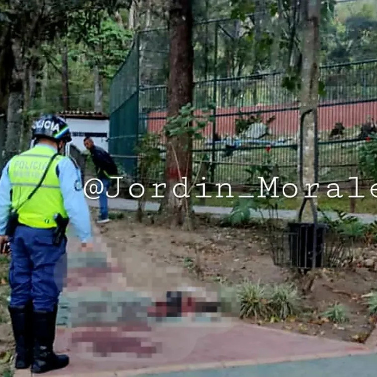 Diario Frontera, Frontera Digital,  Sucesos, ,Murió el vigilante que intentó acariciar a uno de los leones del zoológico de Mérida