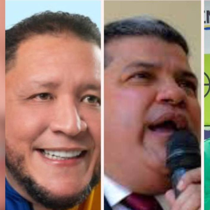 Diario Frontera, Frontera Digital,  Politica, ,Acción Democrática postula las candidaturas de José Brito, Luis Parra y Juan Carlos Alvarado