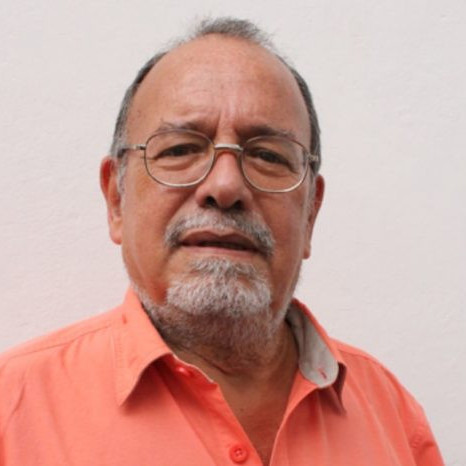 Diario Frontera, Frontera Digital,  Opinión, ,Los necios y las necedades por Luis Fuenmayor Toro