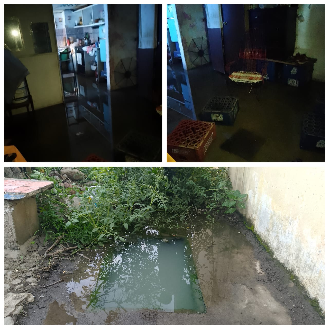 Diario Frontera, Frontera Digital,  El Vigía Panamericana, ,Vivienda inundada por el colapso de las cloacas en el sector La Inmaculada de El Vigía