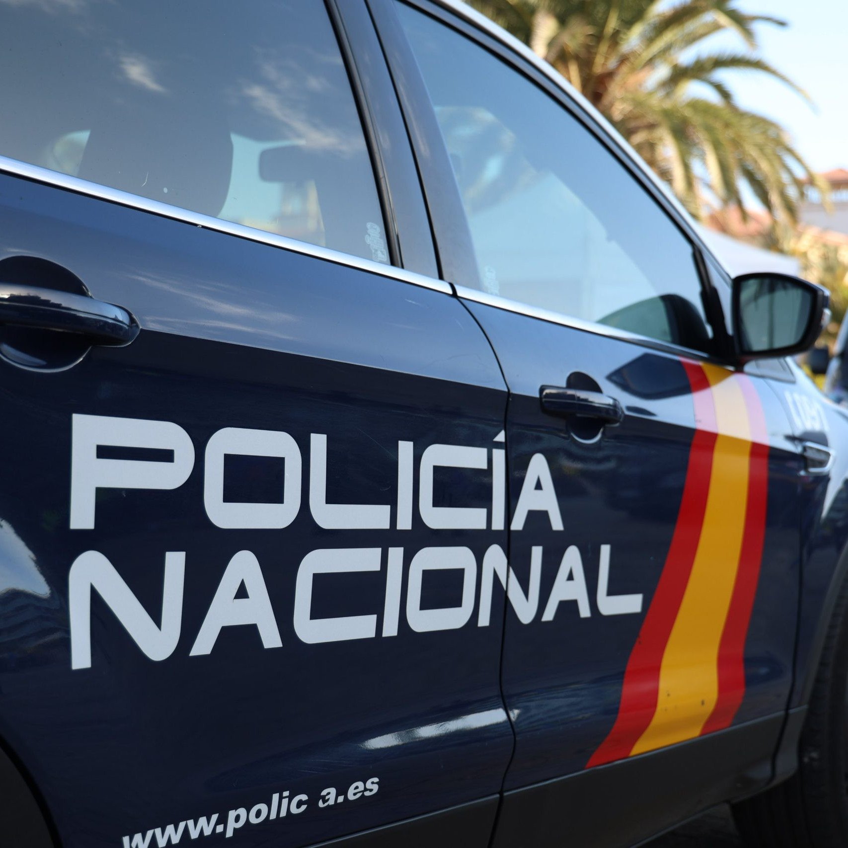 Diario Frontera, Frontera Digital,  Deportes, ,Diecinueve jóvenes beisbolistas venezolanos piden asilo en España