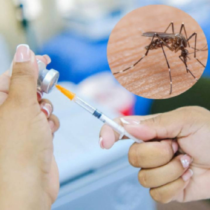 Diario Frontera, Frontera Digital,  Salud, ,Alertan sobre circulación de fiebre amarilla en zonas fronterizas con Venezuela