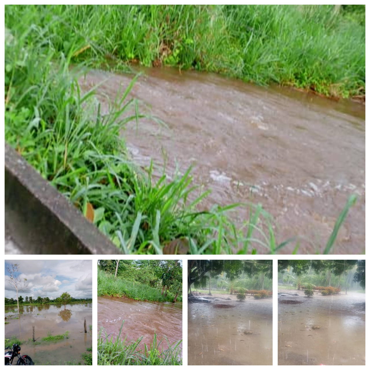 Diario Frontera, Frontera Digital,  El Vigía Panamericana, ,Habitantes del Kilómetro 10 exigen presencia gubernamental por problemas de inundación
