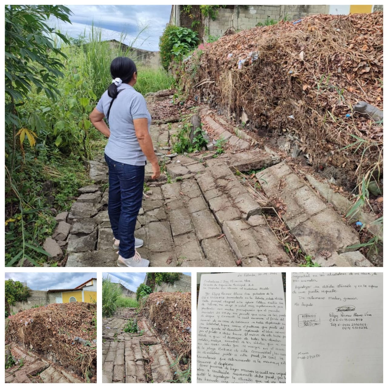 Diario Frontera, Frontera Digital,  El Vigía Panamericana, ,Solicitan la cooperación del alcalde de Alberto Adriani para reponer una pared a una vivienda en La Palmita