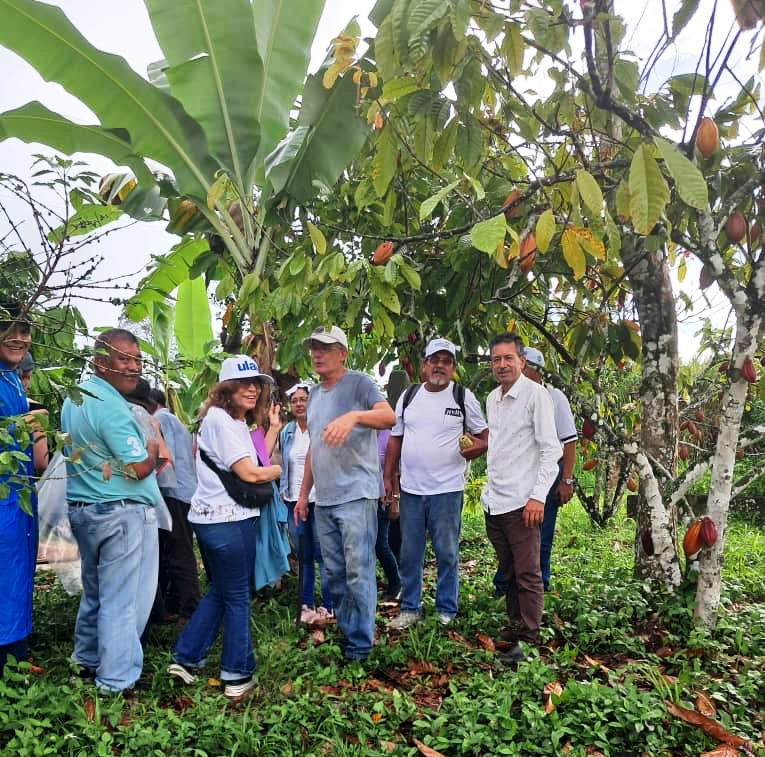 Diario Frontera, Frontera Digital,  Mocoties, ,AproaZea y ULA capacitan a productores de Zea en identificación de variedades de cacao