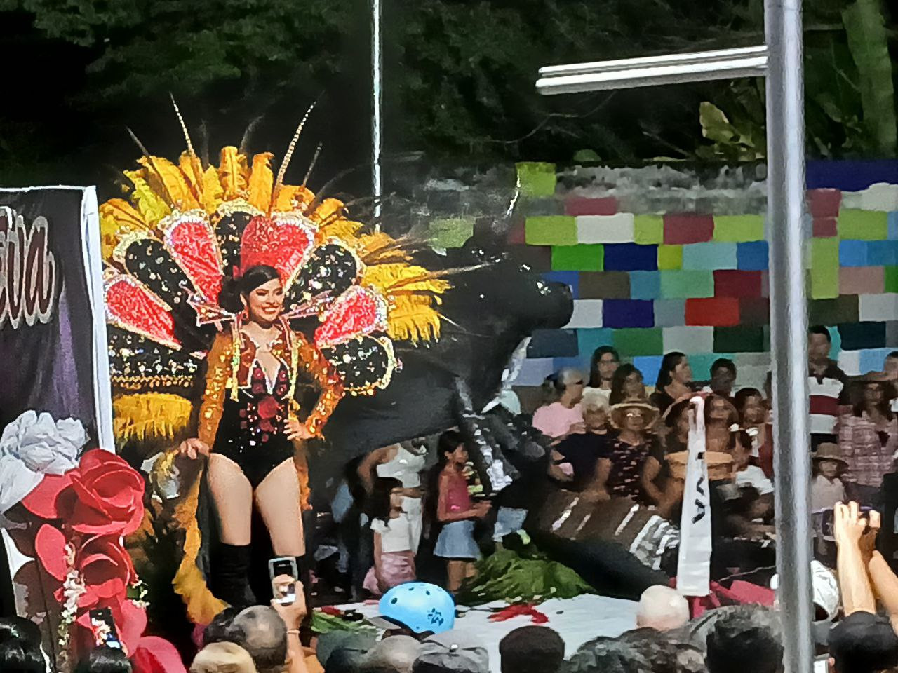 Diario Frontera, Frontera Digital,  El Vigía Panamericana, ,La alegría desbordó las calles en desfile ferial El Vigía 2025