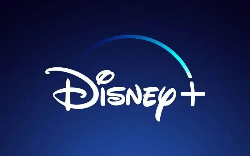 Diario Frontera, Frontera Digital,  Internacionales, ,Disney suspende a trabajadores venezolanos con TPS y amenaza con despedirlos