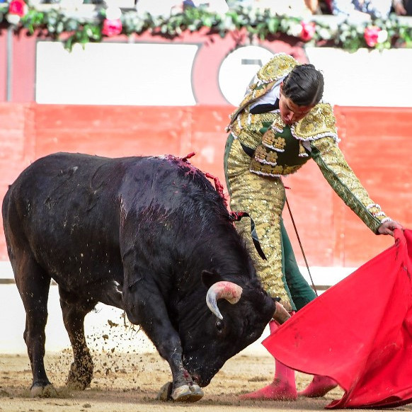Diario Frontera, Frontera Digital,  Entretenimiento, ,TEMPORADA EN LAS VENTAS | El tachirense Rafael de la Cueva silenciado en la final 
del Certamen Camino a Las Ventas