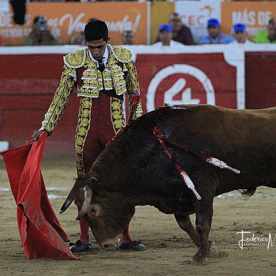 Diario Frontera, Frontera Digital,  Entretenimiento, ,FERIA DE MAYO – PRIMERA CORRIDA | Manolo Muñoz salva del tedio y mansedumbre la primera de feria
