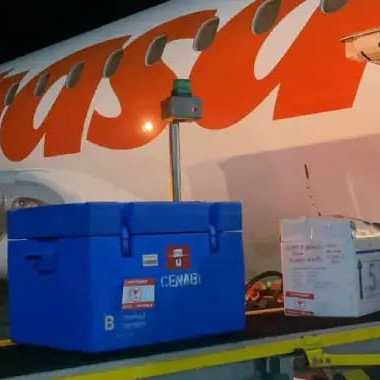Diario Frontera, Frontera Digital,  Salud, ,Llegan a Venezuela 700 mil dosis de vacuna BCG para reforzar la inmunización infantil