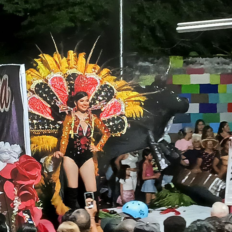 Diario Frontera, Frontera Digital,  El Vigía Panamericana, ,La alegría desbordó las calles en desfile ferial El Vigía 2025